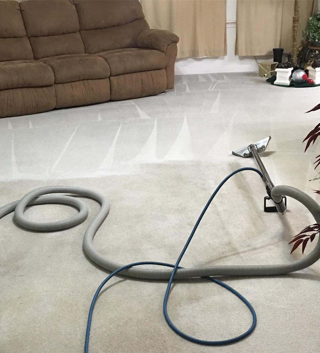 Carpet cleaning wand and hoses working across a living room carpet